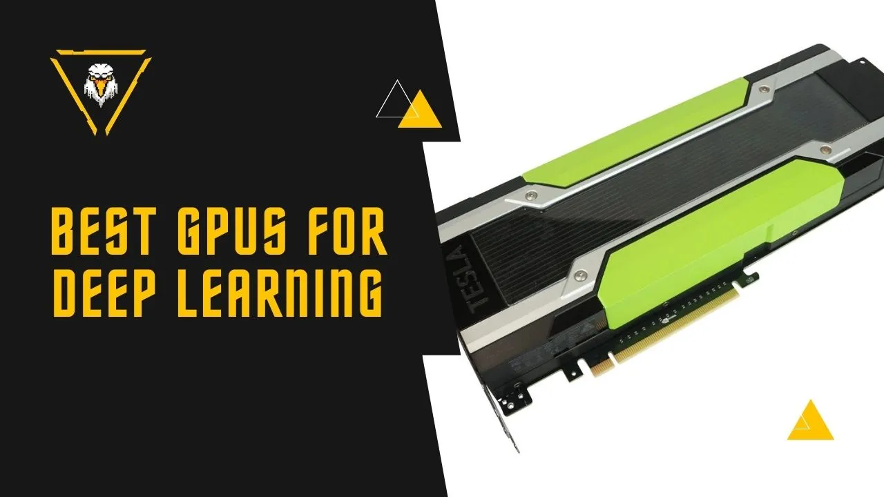 Best GPUs For Deep Learning (Machine Learning, Cheap, Budget, Nvidia)