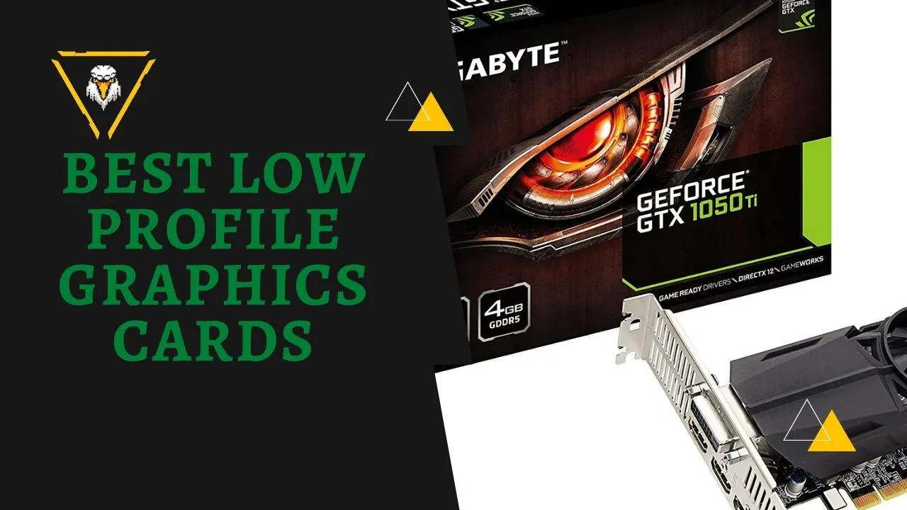 Best Low Profile Graphics Cards (Cheap, AMD, Nvidia)
