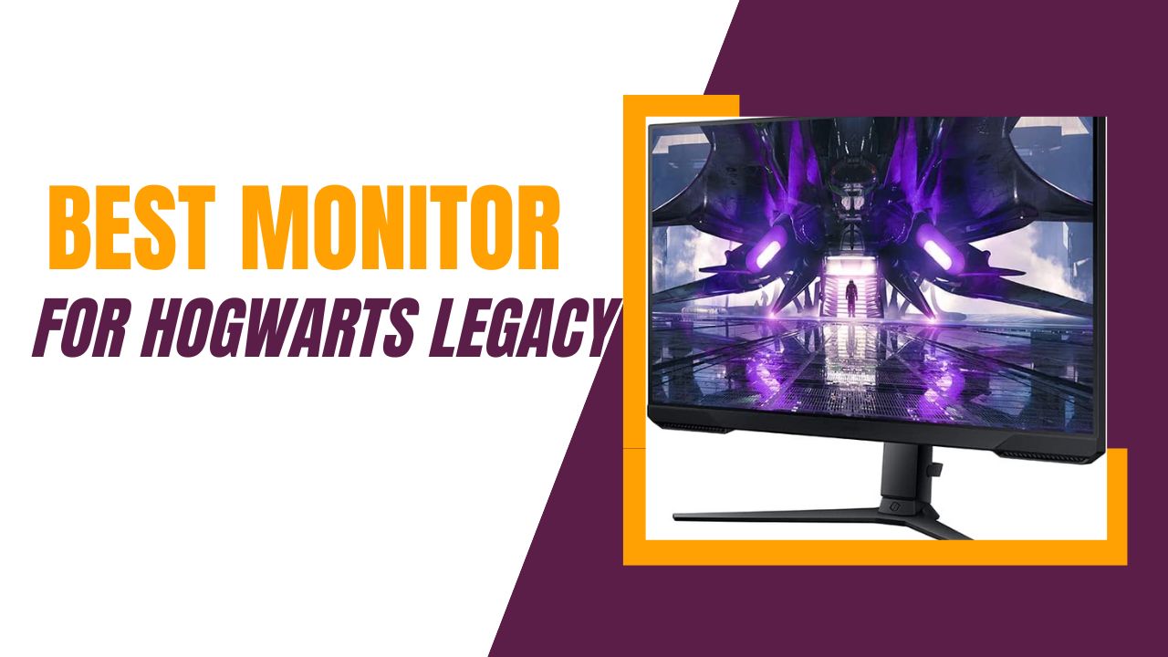 Best Monitor For Hogwarts Legacy